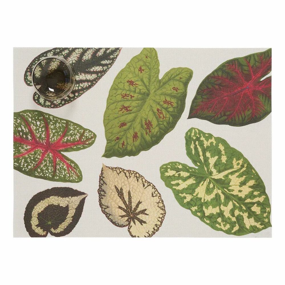 Placemats - ChatGPT a dit :  Printed placemats in collaboration with Martha Stewar - CHILEWICH