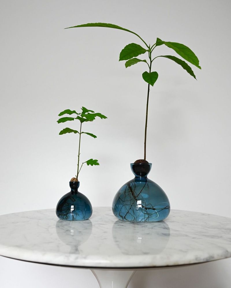 Vases - Avocado Vase and Acorn Vase NEW JAY BLUE color - ILEX STUDIO