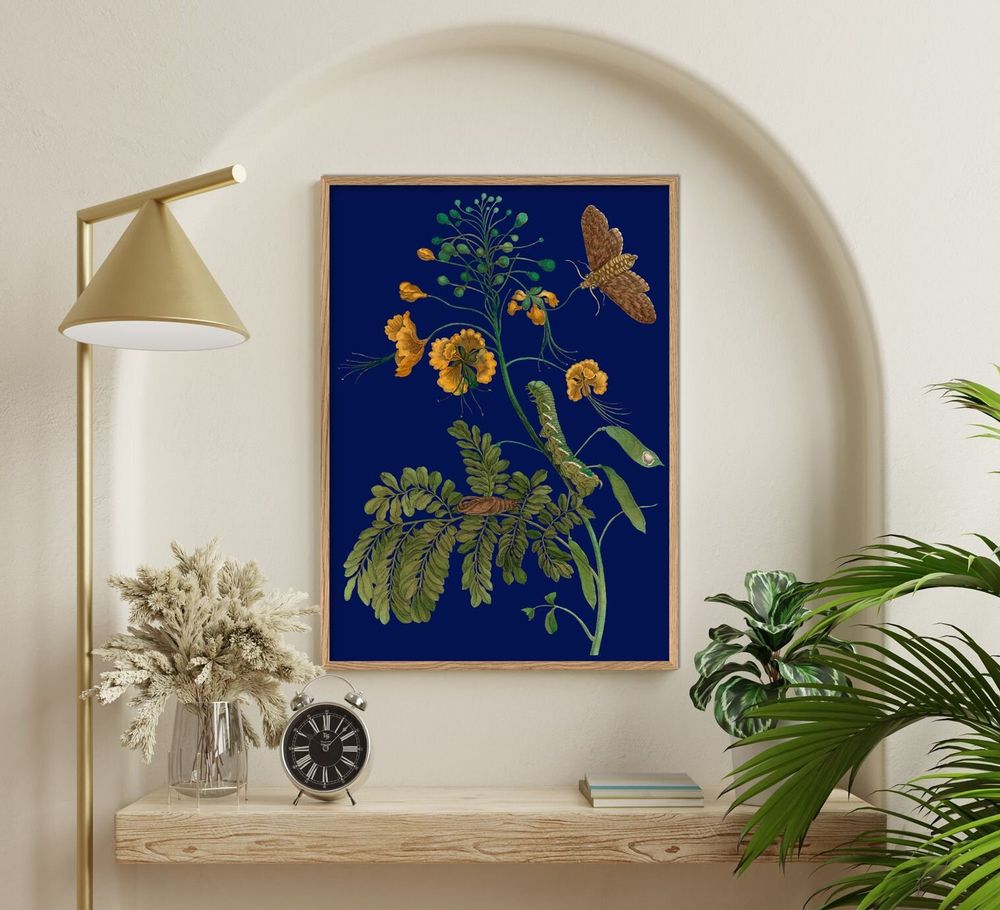 Affiches - Nouvelle collection - THE DYBDAHL CO.