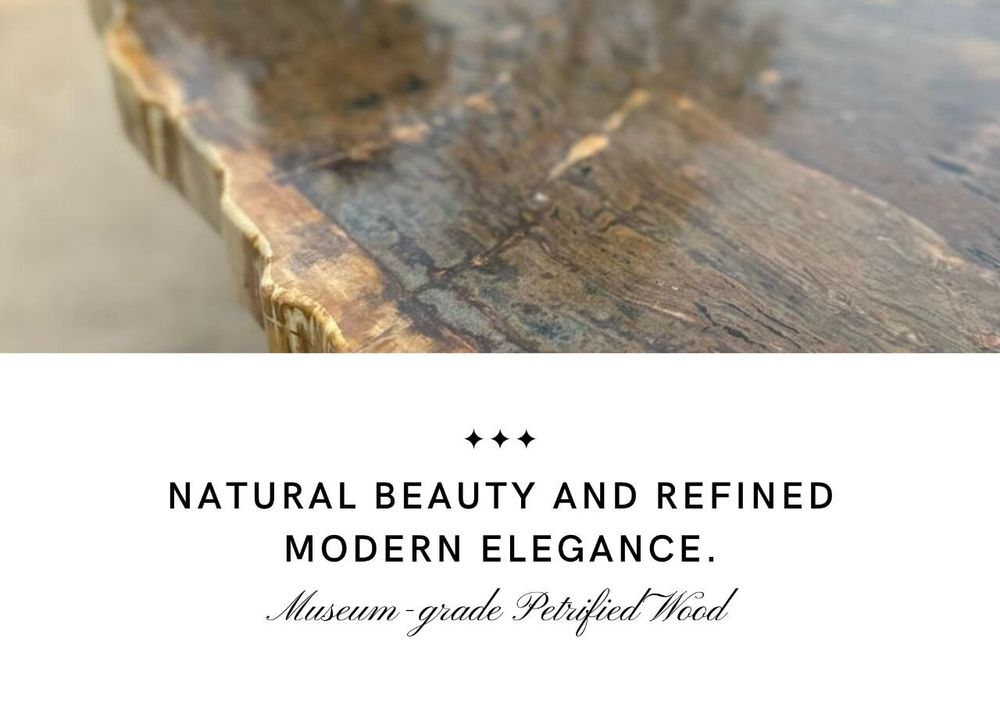 Dining Tables - Terra Lucida - The Shining Earth - Petrified Wood Table - PRESTONEX DESIGN PVT LTD