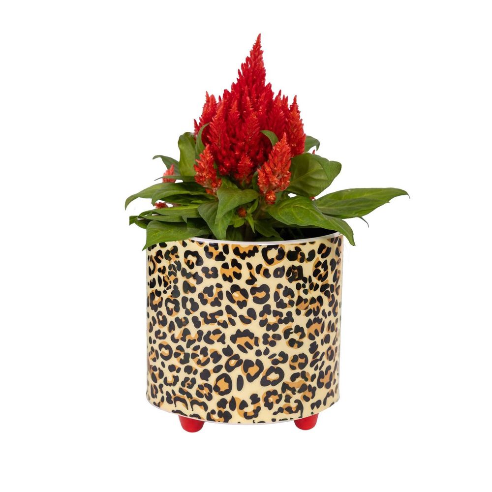 Vases - PLANT POT - FISURA