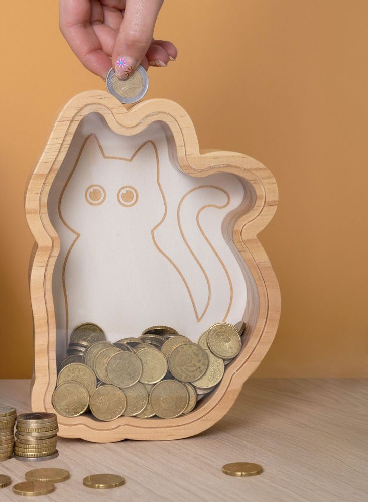 Gifts - MONEY BOX - FISURA