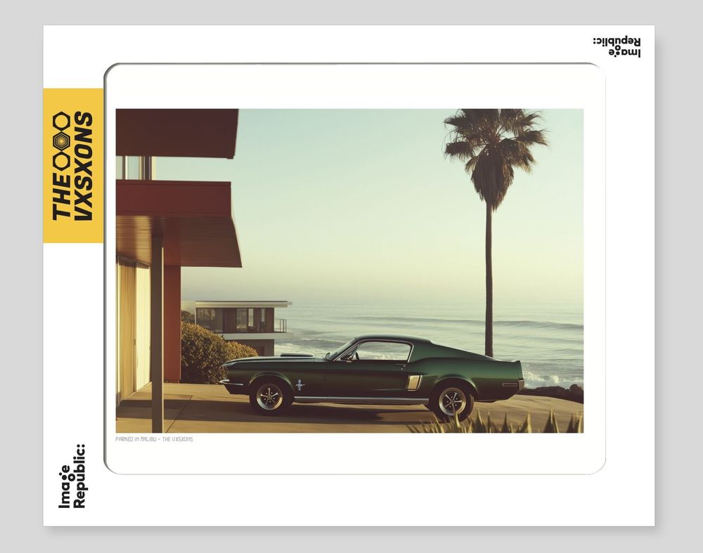 Affiches - The Visions - Affiches - IMAGE REPUBLIC