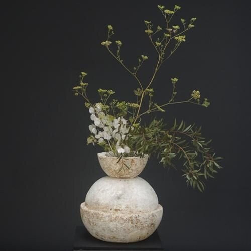 Poterie - ANEMONE - BOUTURES D'OBJETS