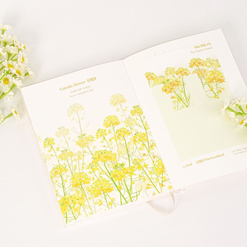 Papeterie - [LANFORAL] Lettre et journal en hangeul pour tous - KCDF
