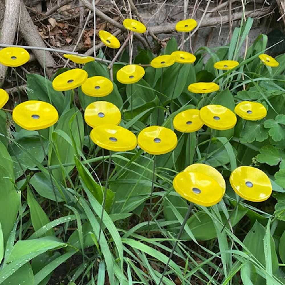 Garden accessories - Small yellow glass flower on a stainless steel stem - CARNEOL GLASS