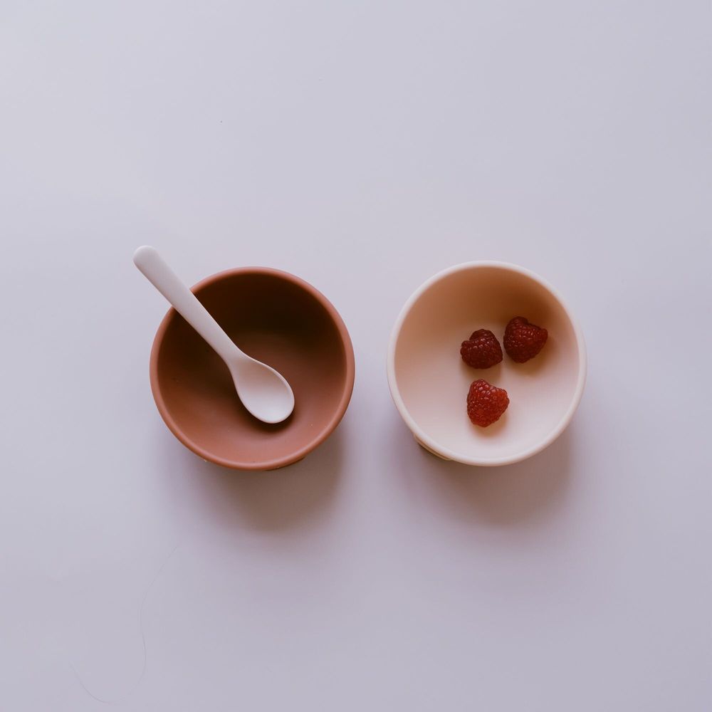 Children's mealtime - Silicone Suction Bowl - Terracotta - EKOBO