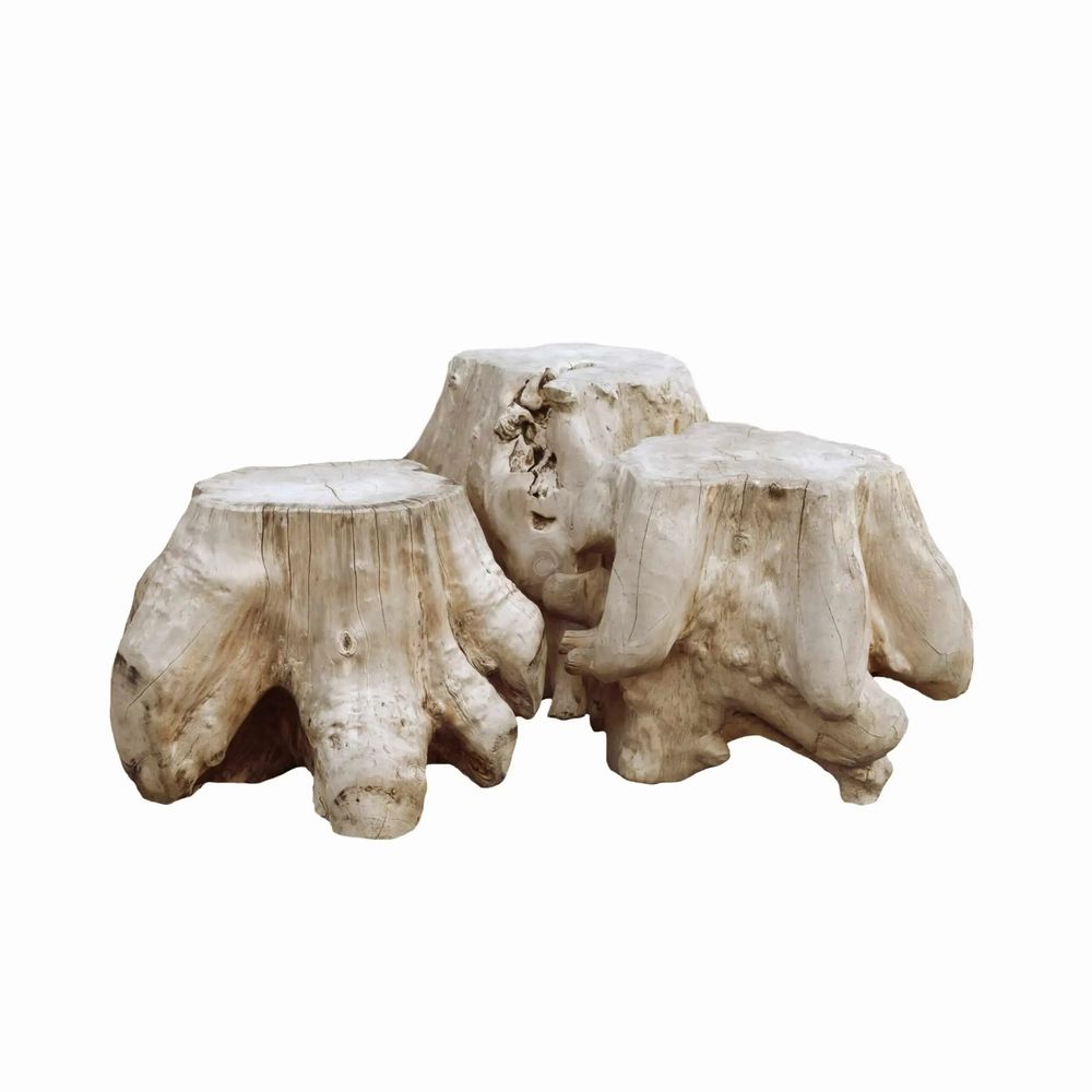 Tables basses - Tronc Trump - SEMPRE IN & OUTDOOR LIVING BV