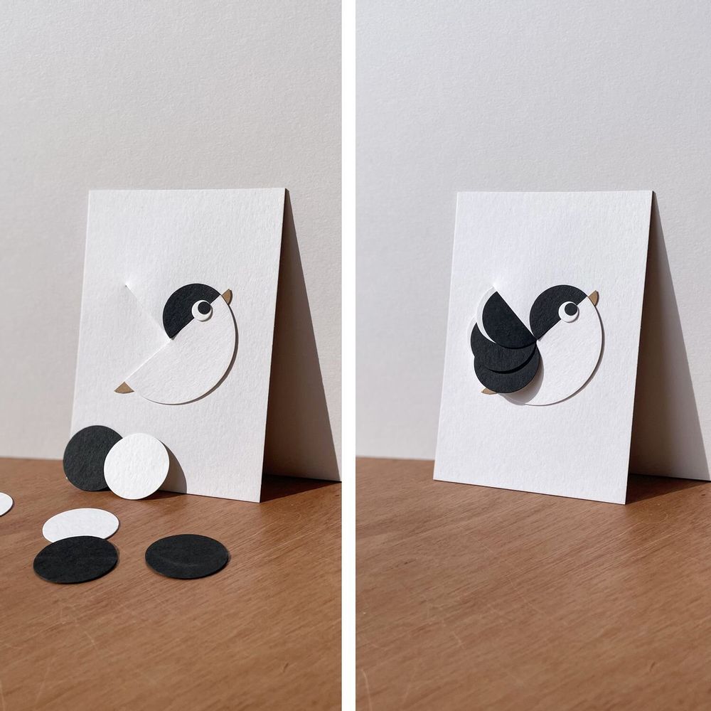 Card shop - DISCOVERY PACK assortment of 25 OISO® board cards - OISO