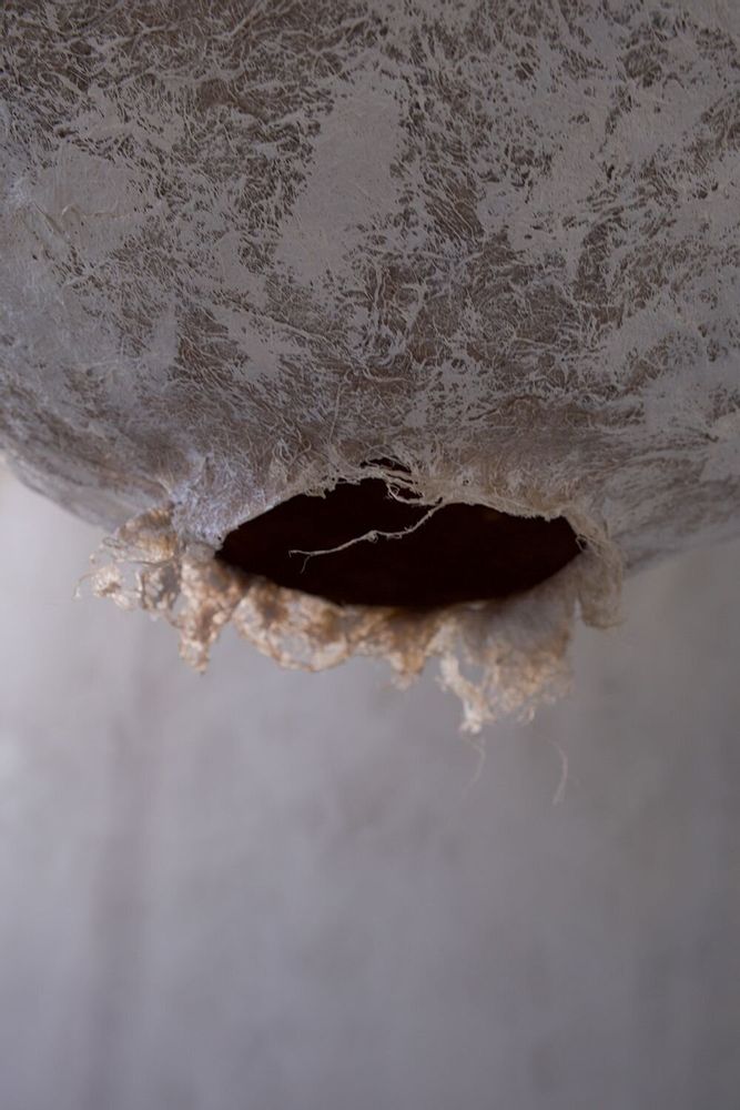 Plafonniers - Grande lampe suspendue Svitylo — Forme de lune sculpturale en fibre de - PLETOSTUDIO