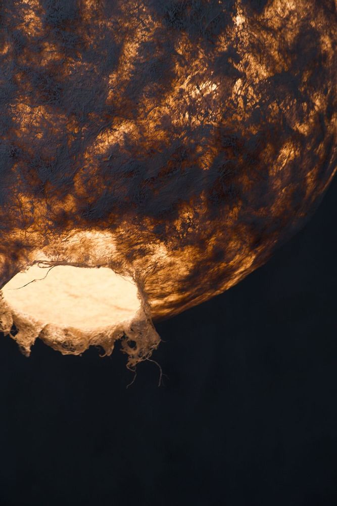 Plafonniers - Grande lampe suspendue Svitylo — Forme de lune sculpturale en fibre de - PLETOSTUDIO