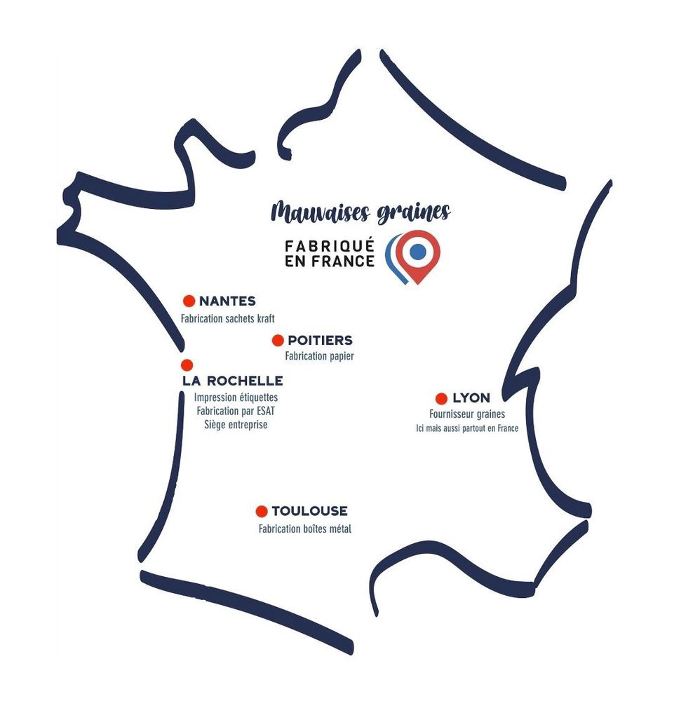 Cadeaux - Kit à semer \" Parrain t'es le plus sympa \ " - MAUVAISES GRAINES