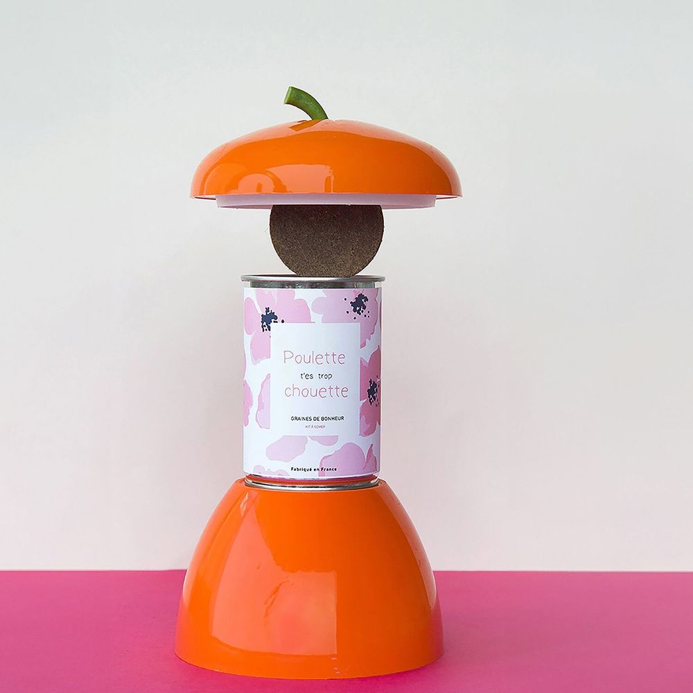 Gifts - Sowing kit\" Poulette you are the coolest\ " - MAUVAISES GRAINES