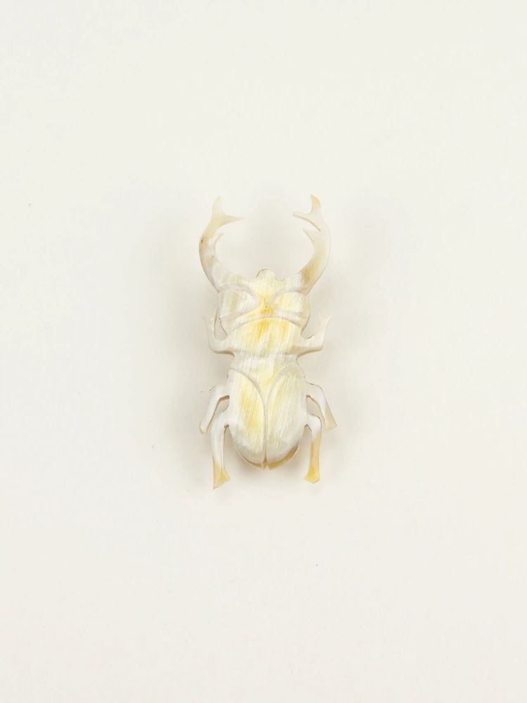 Brooches - Coleoptere brooch in blond horn - L INDOCHINEUR X RIVÊT