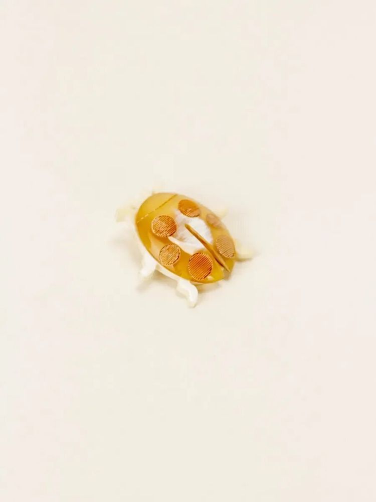 Brooches - Cocinelle brooch in blond horn - L INDOCHINEUR X RIVÊT