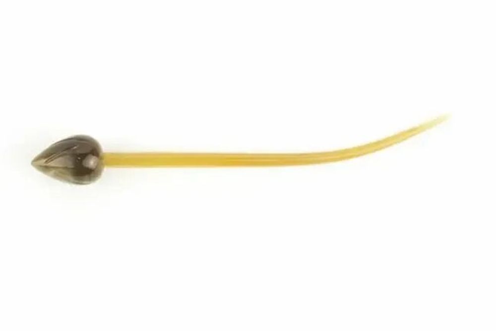 Barrettes - Lotus hairpin in blond horn - L INDOCHINEUR X RIVÊT