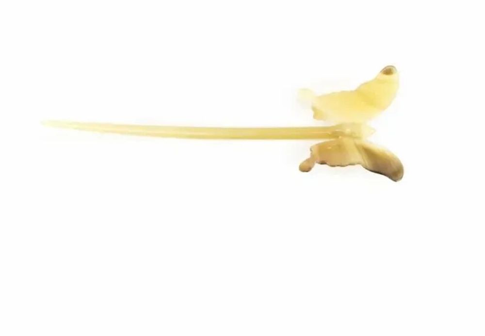 Barrettes - Pique à cheveux papillon en corne blonde - L INDOCHINEUR X RIVÊT