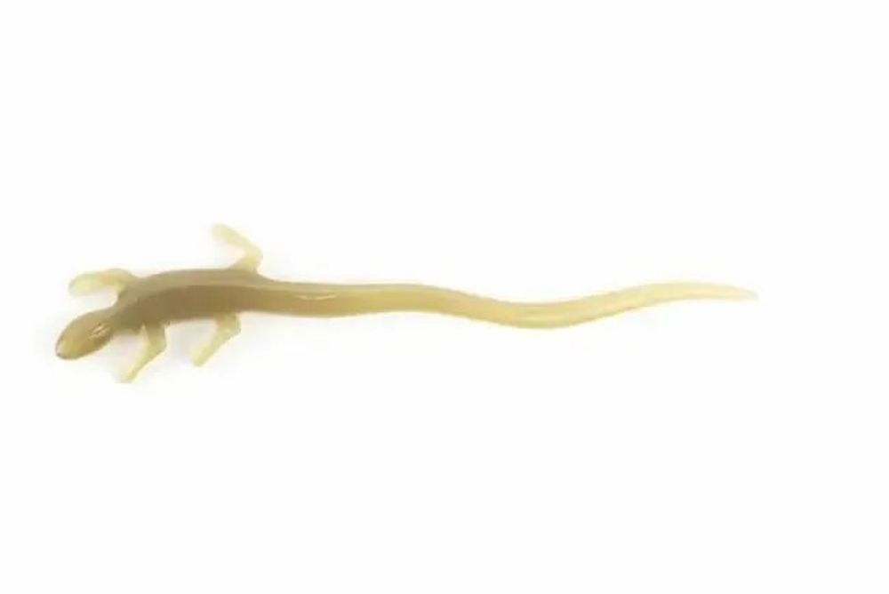 Barrettes - Pic à cheveux lézard en corne noire - L INDOCHINEUR X RIVÊT