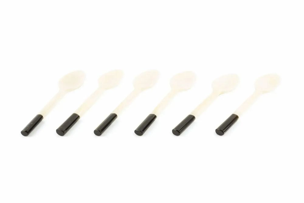 Kitchen utensils - Set of 6 black horn coffee spoon white handle in bone - L INDOCHINEUR X RIVÊT