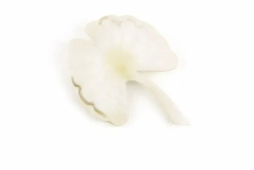 Brooches - Gingko brooch in blond horn - L INDOCHINEUR X RIVÊT