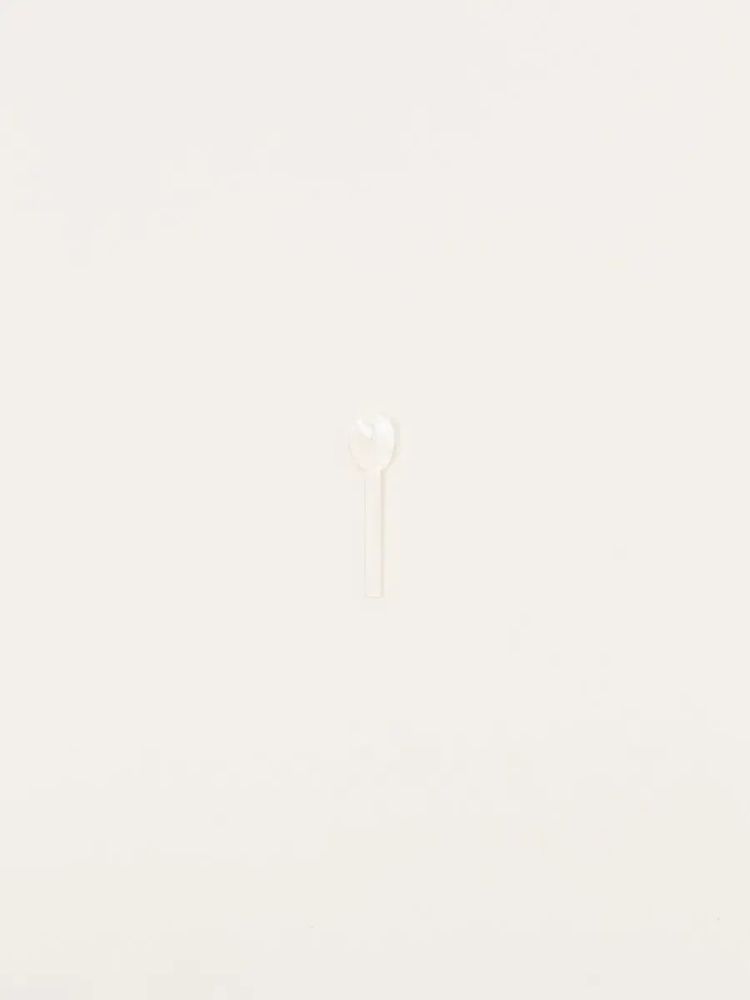 Kitchen utensils - Set of 6 salt spoon in white mother of pearl - L INDOCHINEUR X RIVÊT