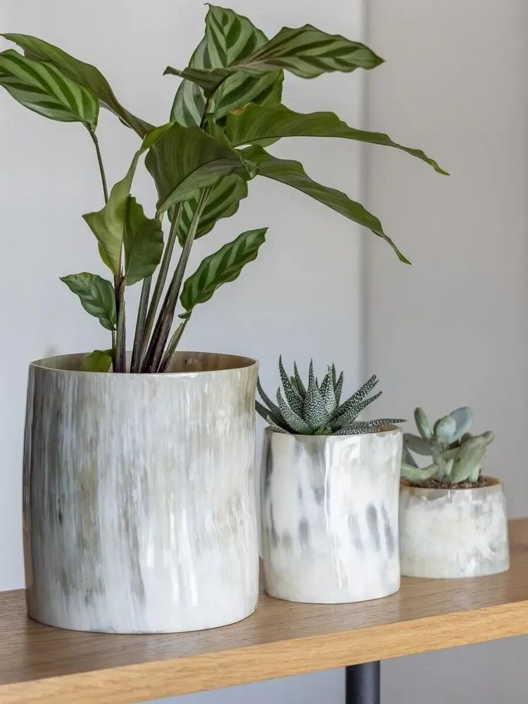 Candlesticks and candle holders - Small candle holder / plants pot in black and white horn - L INDOCHINEUR X RIVÊT