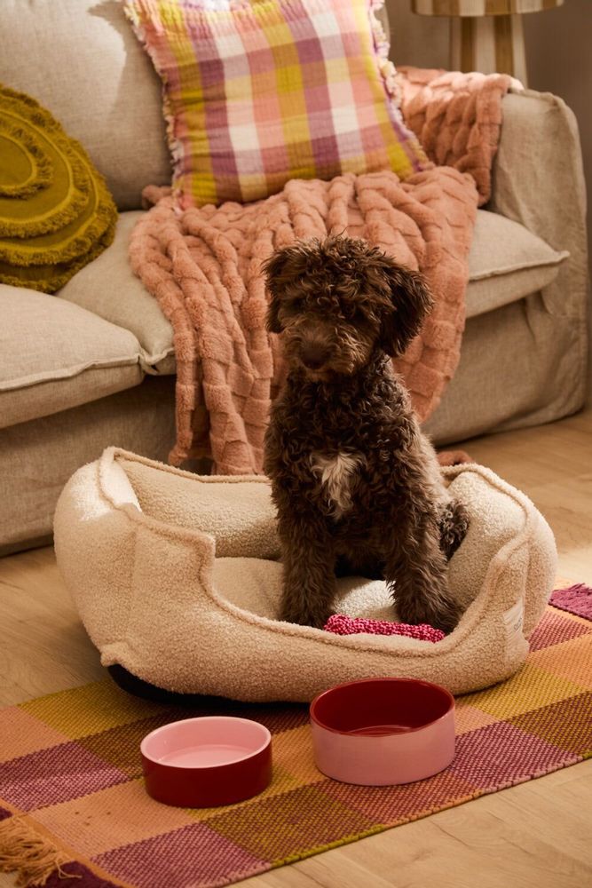 Pet accessories - PET ACCESORIES - CALMA HOUSE