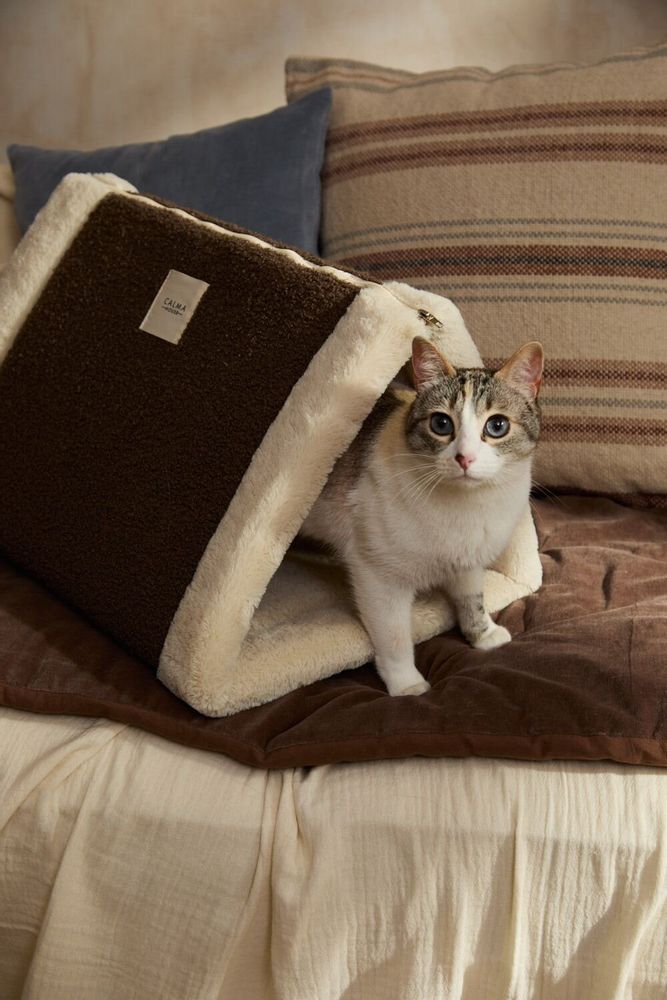 Pet accessories - PET ACCESORIES - CALMA HOUSE