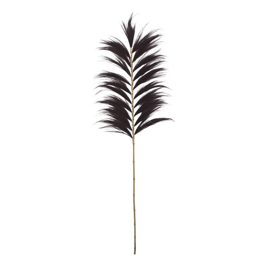 Objets de décoration - RAYUNG - Feuille naturelle noire - Décoration XXL - HYDILE