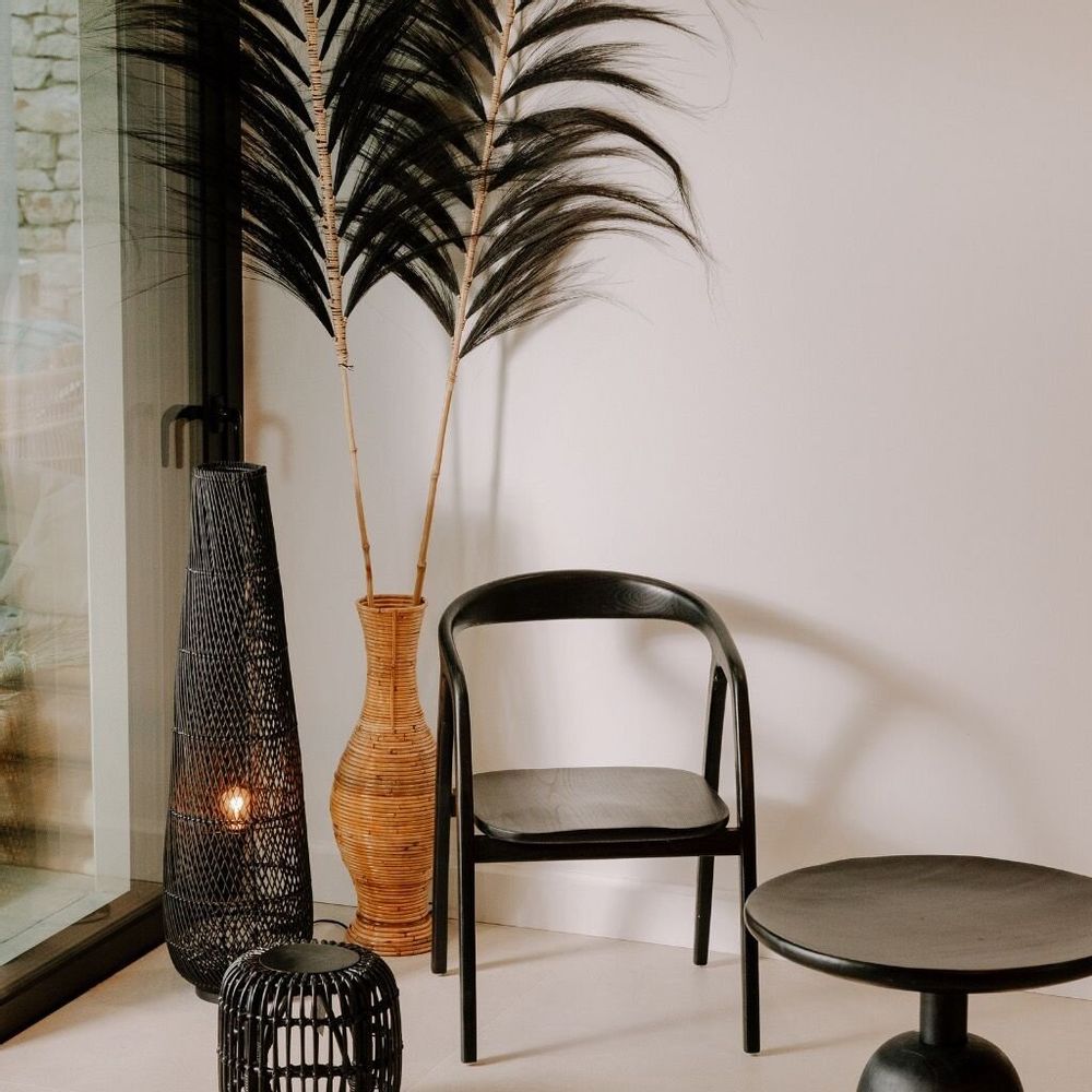 Objets de décoration - RAYUNG - Feuille naturelle noire - Décoration XXL - HYDILE