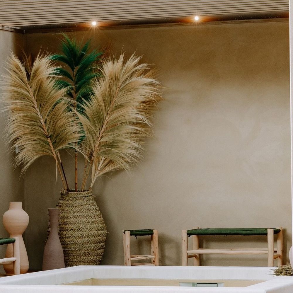Objets de décoration - RAYUNG - Feuille naturelle - Décoration XXL - HYDILE