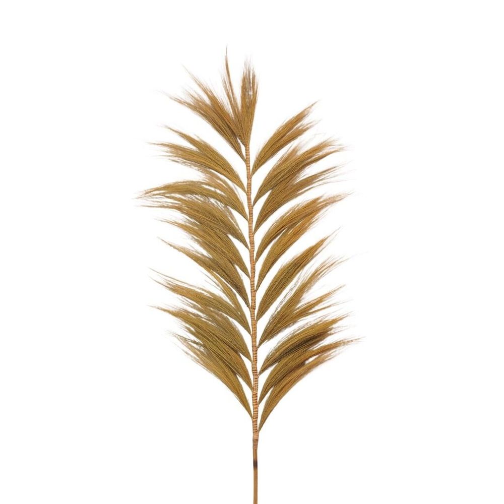 Objets de décoration - RAYUNG - Feuille naturelle - Décoration XXL - HYDILE