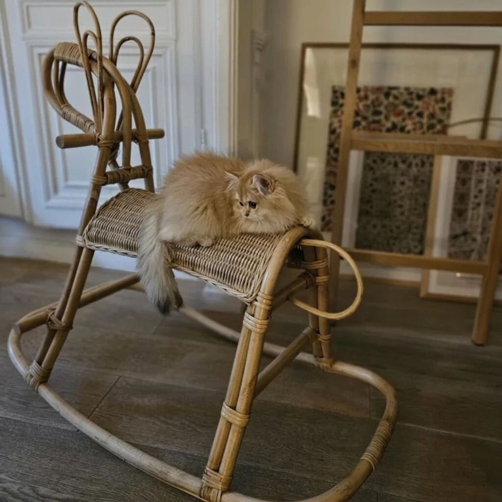 Toys - Vintage rattan rocking horse - JIMY - HYDILE