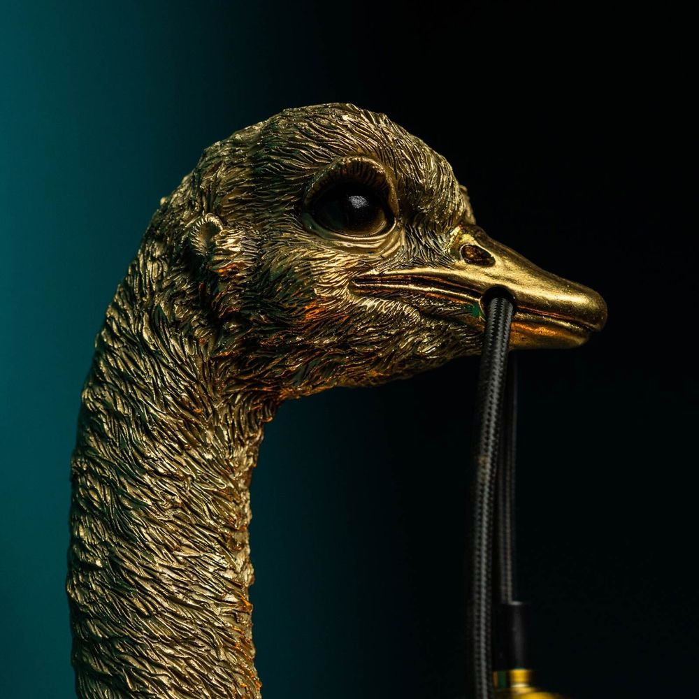 Wall lamps - Baby Franz Josef ostrich wall lamp - WERNS