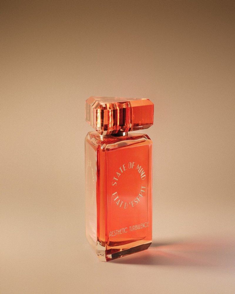 Parfums pour soi et eaux de toilette - Parfum 100 ML Aesthetic Turbulence - STATE OF MIND