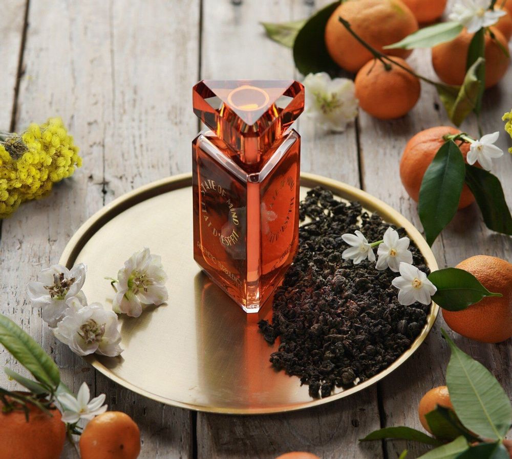 Parfums pour soi et eaux de toilette - Parfum 100 ML Aesthetic Turbulence - STATE OF MIND