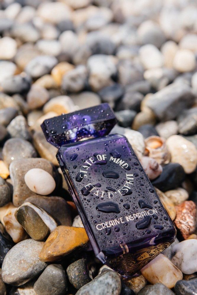 Fragrance for women & men - Perfume 100 ML Creative Inspiration - STATE OF MIND