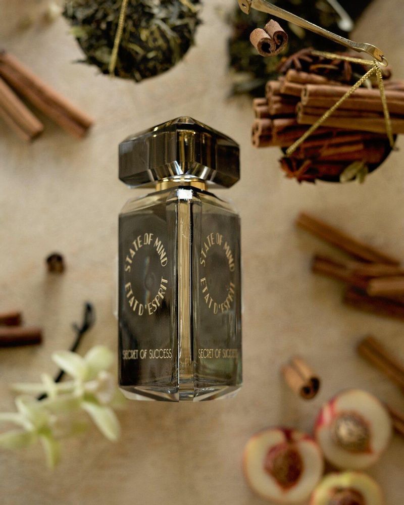 Fragrance for women & men - Perfume 100 ML Secret of Success - STATE OF MIND