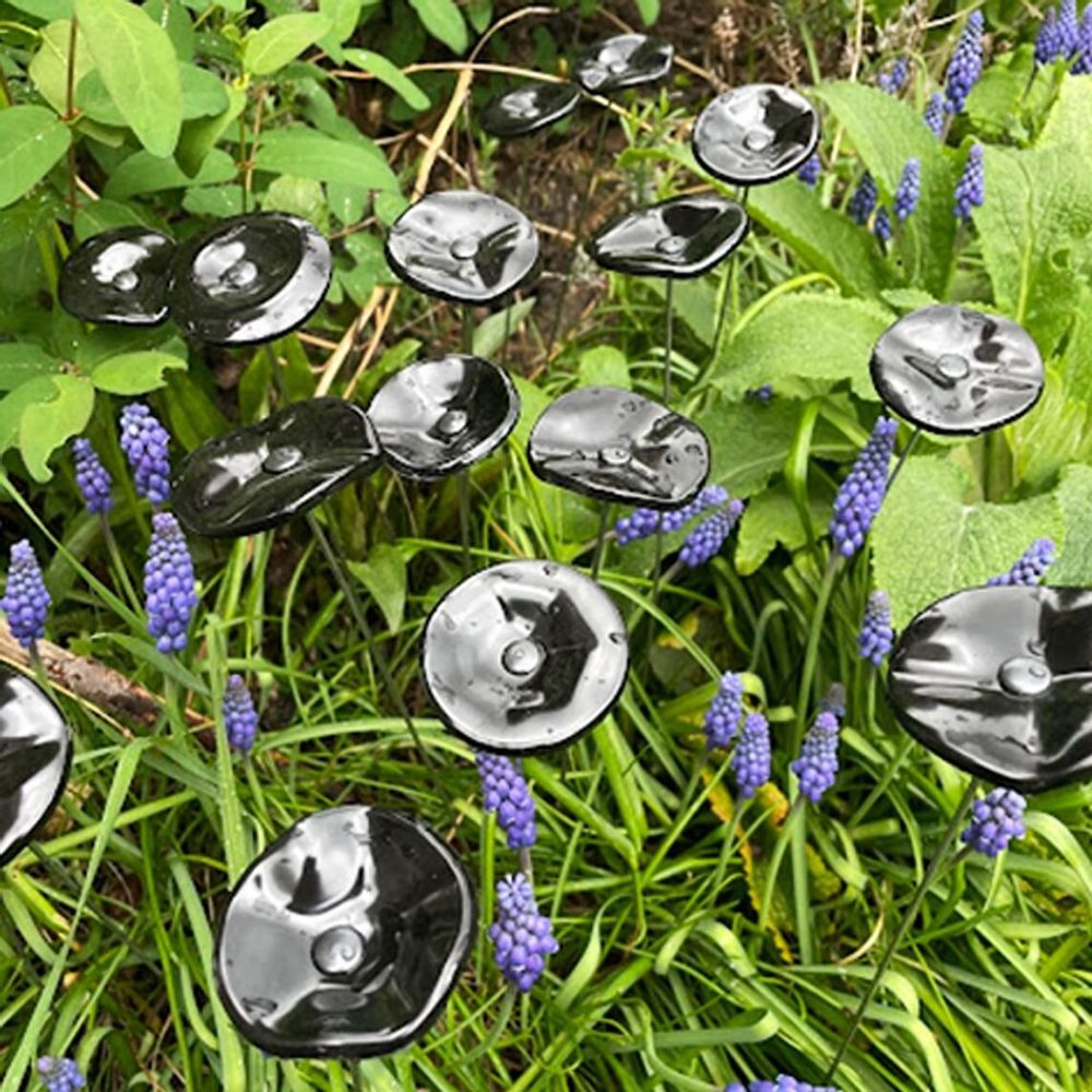 Accessoires de jardinage - Petite fleur en verre pour l'extérieur en noir - CARNEOL GLASS