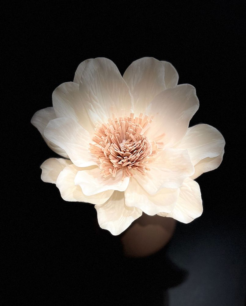 Décorations florales - Diffuseur aromatique, vase et fleur pour parfum d'ambiance intérieur - ANOQ