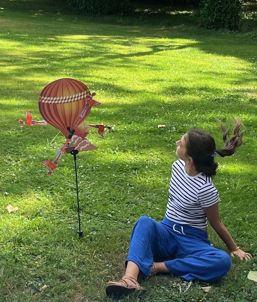 Outdoor decorative accessories - Alain Ballon weather vane - LES RITOURNAILES