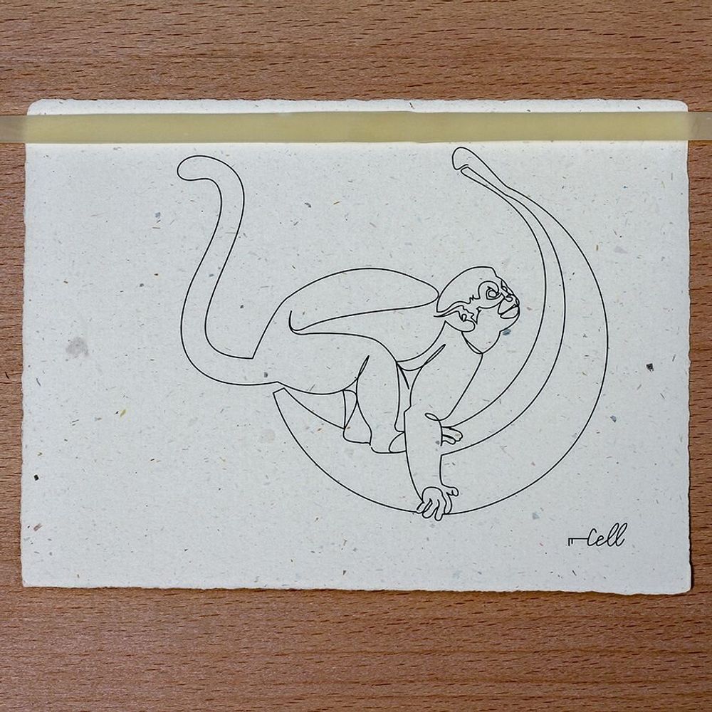 Gifts - Note card - Minimalist illustration - COSETTE ET LES LYS