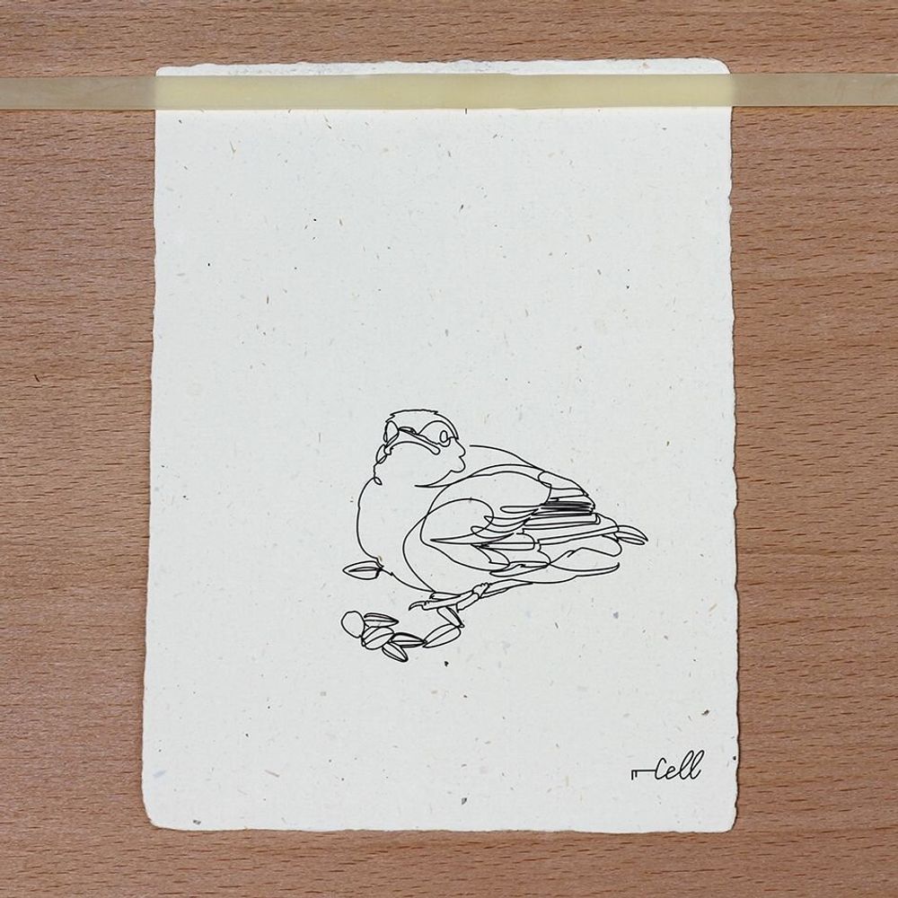 Cadeaux - Carte de correspondance - Illustration minimaliste - COSETTE ET LES LYS