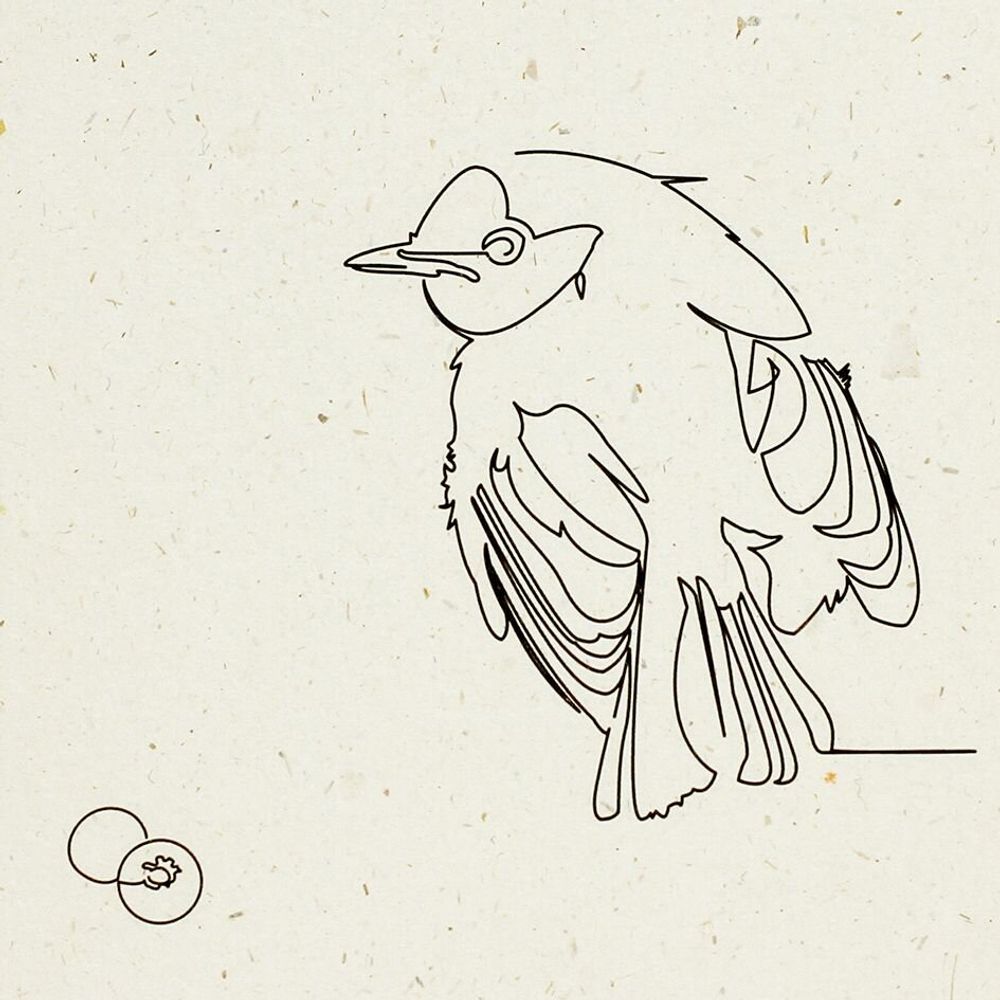 Gifts - Note card - Minimalist illustration - COSETTE ET LES LYS