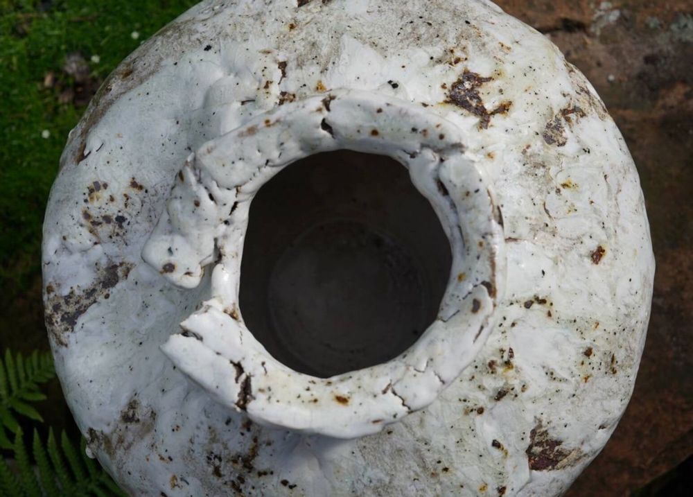 Vases - Vase blanc III, Céramique sauvage - GALERIE SANA MOREAU