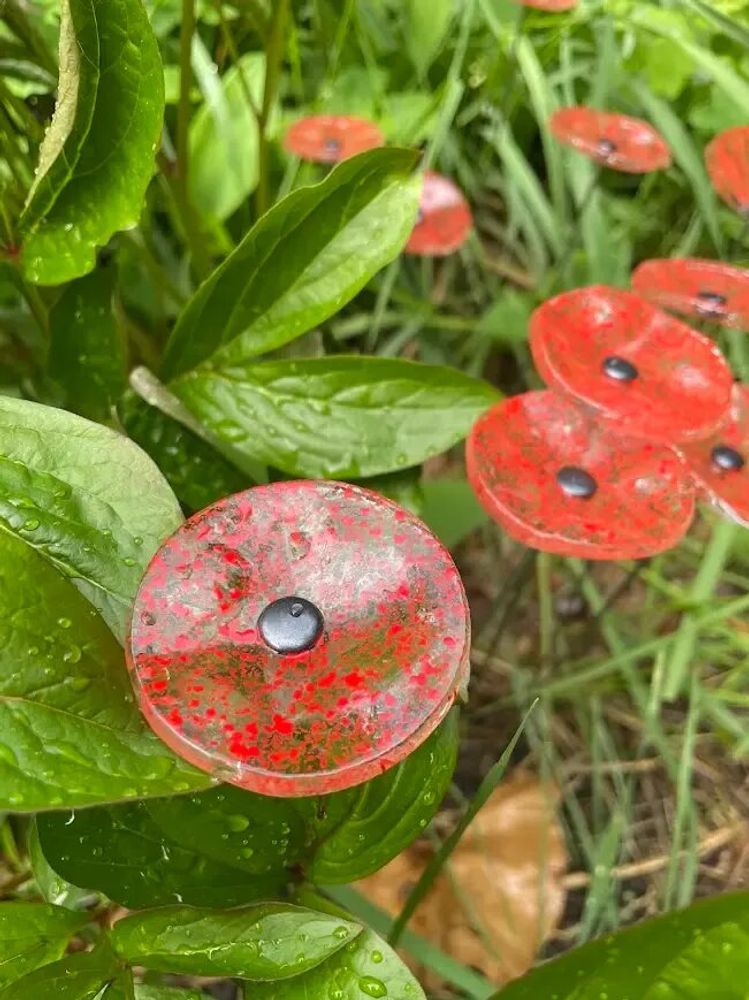 Floral decoration - Round small flower for outdoor use in transparent, red - CARNEOL GLASS
