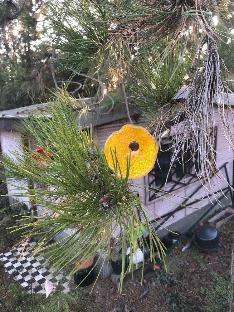 Décorations florales - Fleur de calebasse en verre de taille moyenne pour extérieur de couleur transparente, orange, jaune avec tige en acier inoxydable de 43 cm. - CARNEOL GLASS