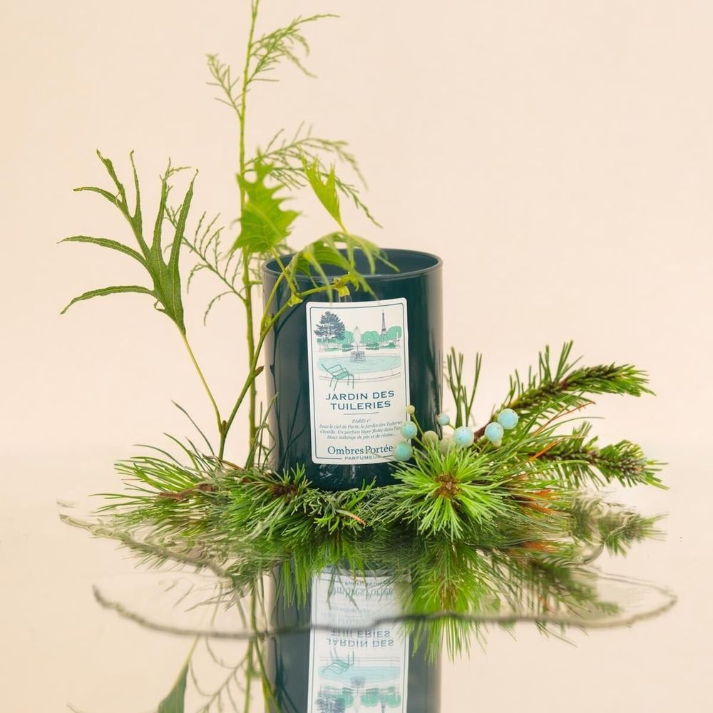 Bougies - Bougie Ombres Portées Parfumeur Jardin des Tuileries - OMBRES PORTÉES PARFUMEUR