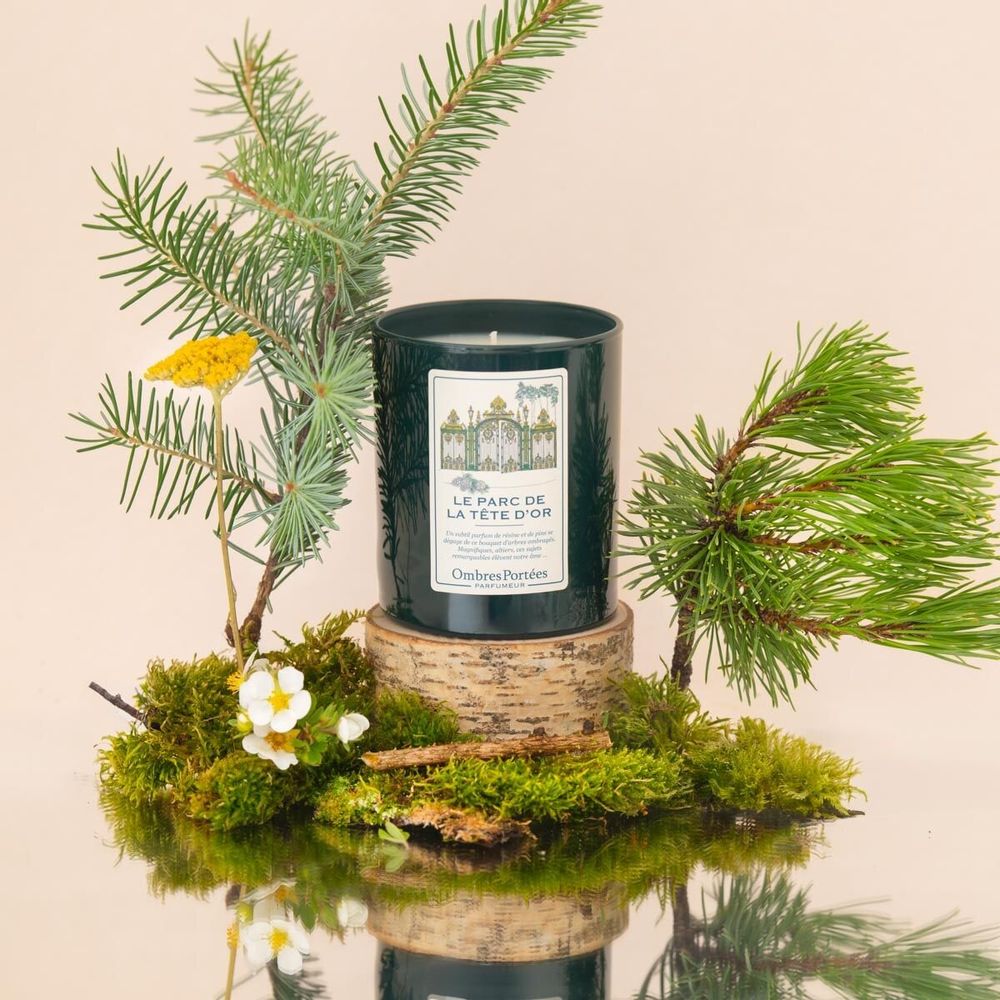 Bougies - Bougie Ombres Portées Parfumeur Le Parc de La Tête d'or - OMBRES PORTÉES PARFUMEUR