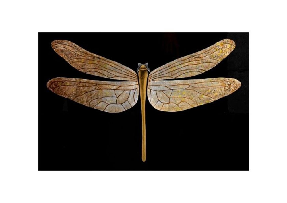 Autres décorations murales - DRAGONFLY - Décoration murale laquée - MAI HOME DECOR PTE LIMITED
